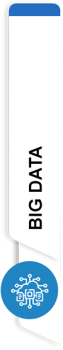 Big Data Services